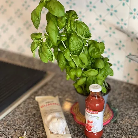 Casa Gargiulo アパート